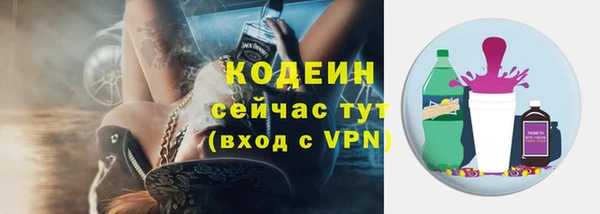 гидра Весьегонск