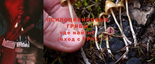 mdpv Нязепетровск