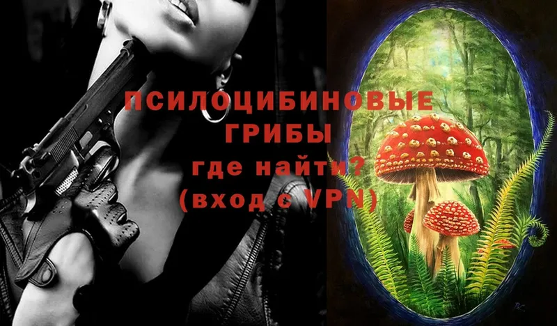 Галлюциногенные грибы Psilocybe  Анива 